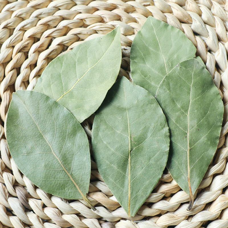 正宗广西头茬新货香叶桂皮八角调味品卤料炖肉料炒菜调料香叶