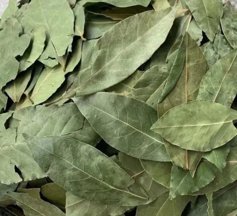 正宗广西头茬新货香叶桂皮八角调味品卤料炖肉料炒菜调料香叶