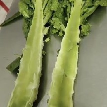 我们这里的篱笋大量上市需要联系