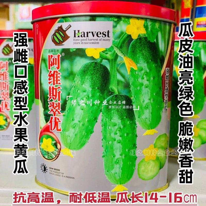 强雌水果黄瓜种子甜脆嫩阿维斯翠优黄瓜种子节节有瓜油亮