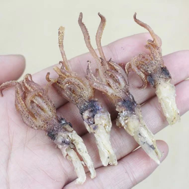 墨鱼仔展会地摊电商北海墨鱼仔墨鱼头墨鱼干鱿鱼干鱿鱼