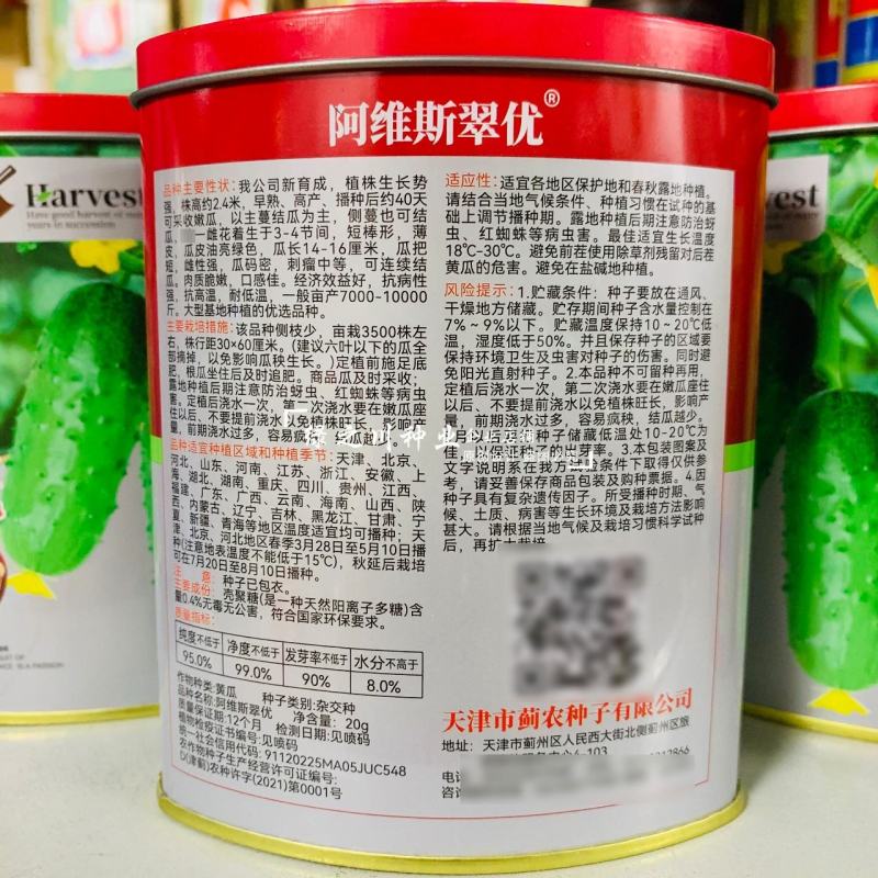 强雌水果黄瓜种子甜脆嫩阿维斯翠优黄瓜种子节节有瓜油亮