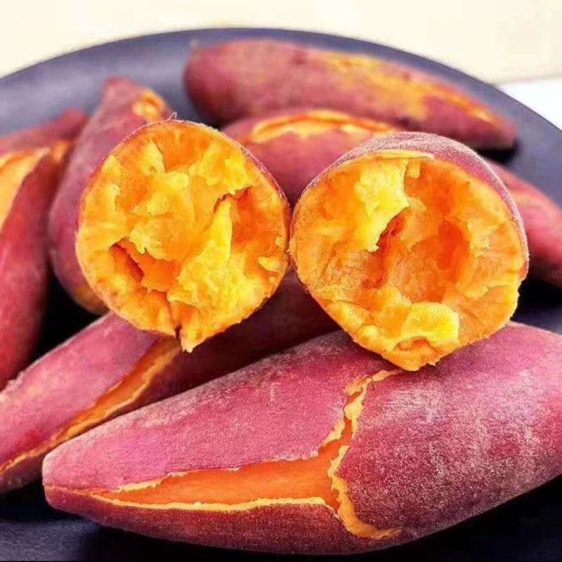 精品西瓜红