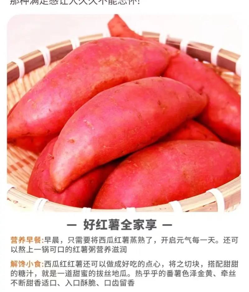 精品西瓜红