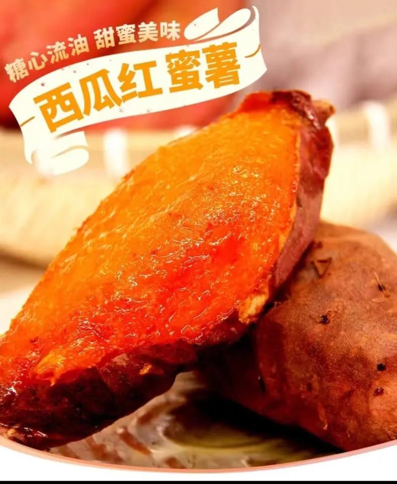 精品西瓜红