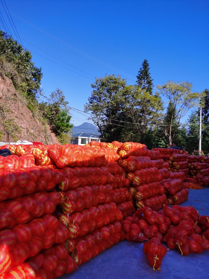小果8两以下包装果都可以大量供货价格实惠