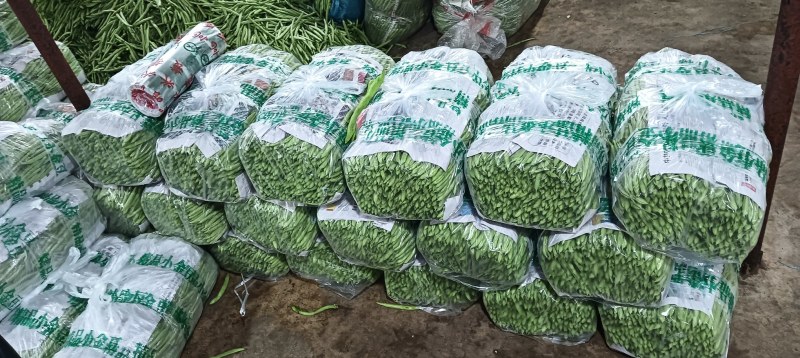 云南精品小金豆四季豆一件代发社区团购地头一手货源不限量