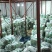 云南精品小金豆四季豆一件代发社区团购地头一手货源不限量