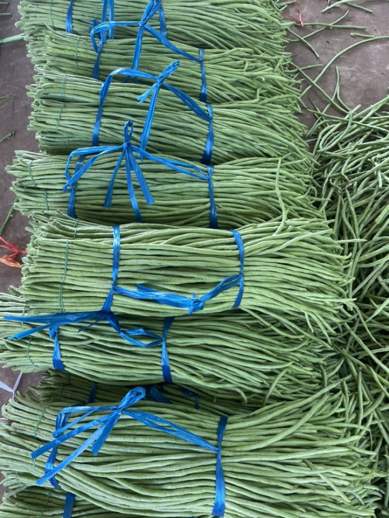 （诚信商家）长豆角，精品长豆角大量上货中，批发商市场超市