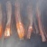 【精选】优质供货电商，腊肉，四川宜宾，产地直发，量大价优