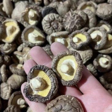 精选干香菇批发