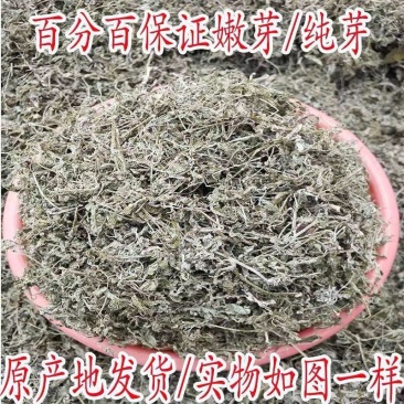 广西藤茶莓茶清热茶唱歌茶直播茶润喉护嗓茶藤茶包邮