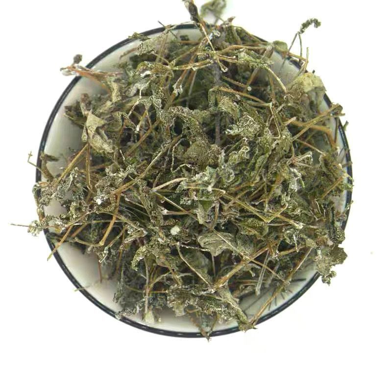 广西藤茶莓茶清热茶唱歌茶直播茶润喉护嗓茶藤茶包邮