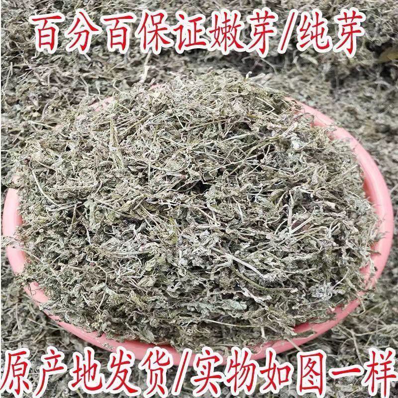 广西藤茶莓茶清热茶唱歌茶直播茶润喉护嗓茶藤茶包邮