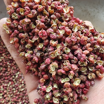 梅花椒系列纯梅花!开口率94%纯韩城大红袍花椒色选货