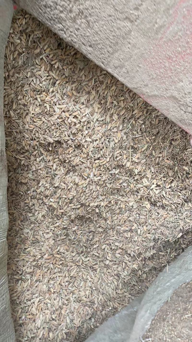 谷壳