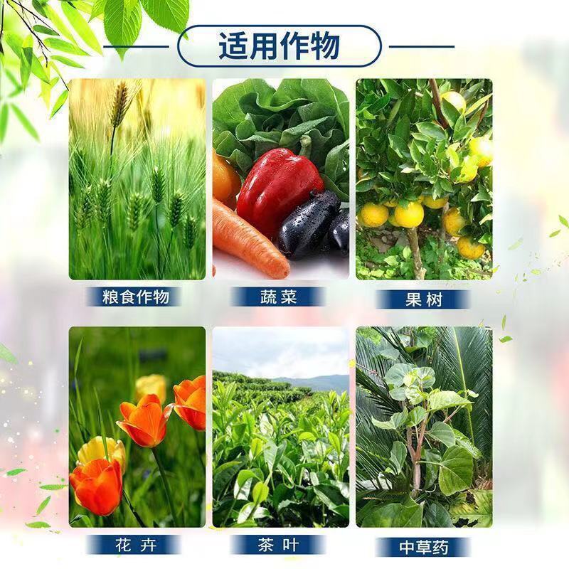 有机肥