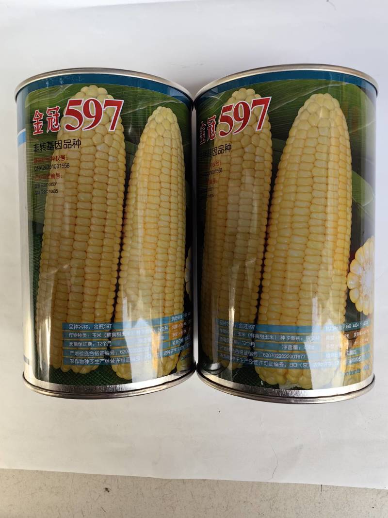 金冠597水果玉米种子国审泰太阳花超甜鲜食爆汁水果甜玉米