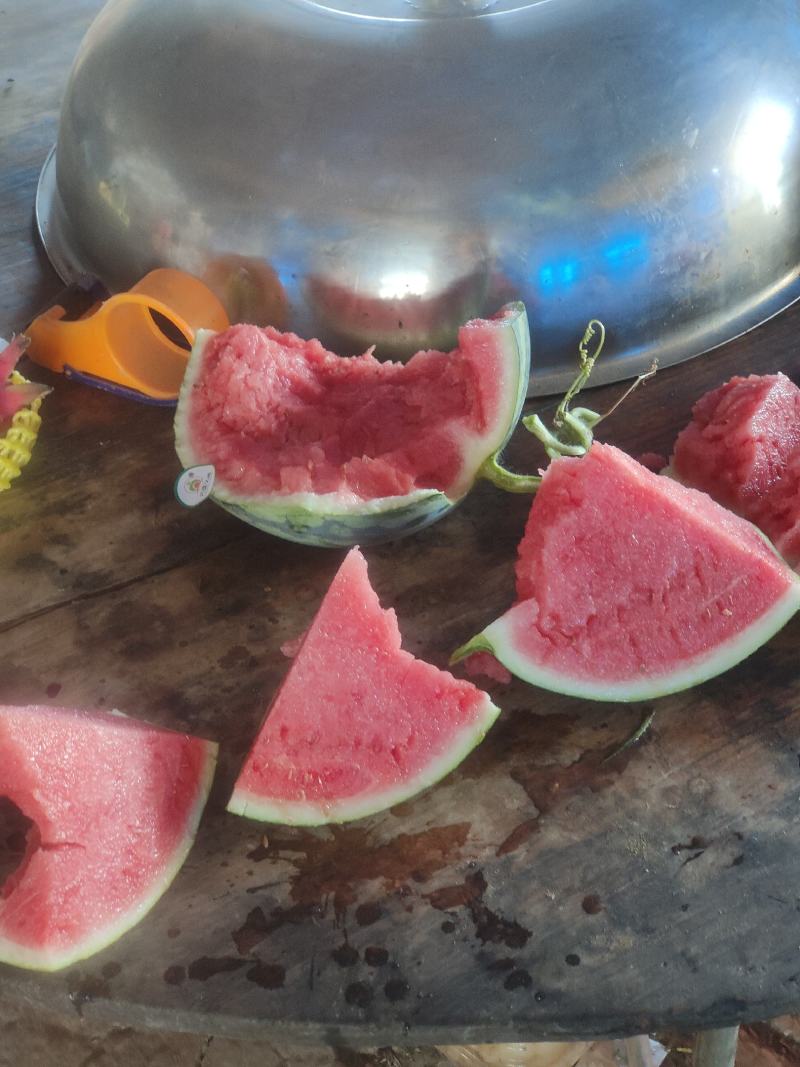 麒麟瓜