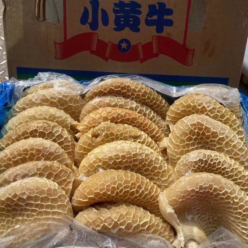 金钱肚一手货源