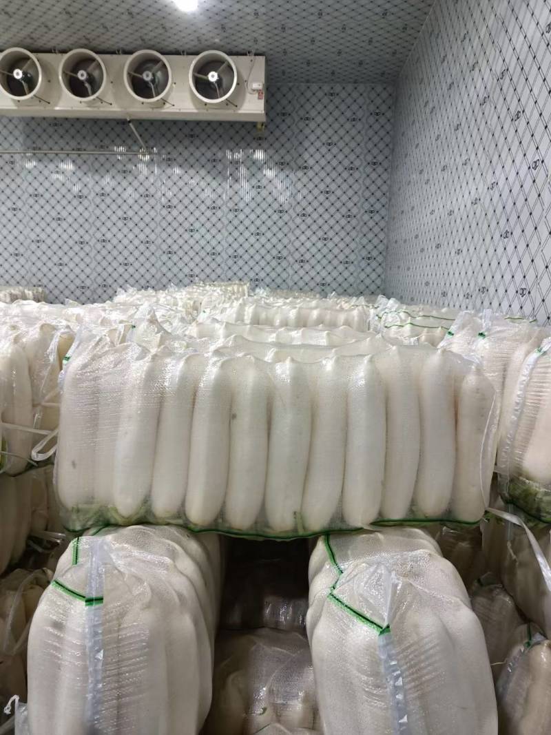 【热卖】精品萝卜规格齐全，质量好，价格合适，需要的联系