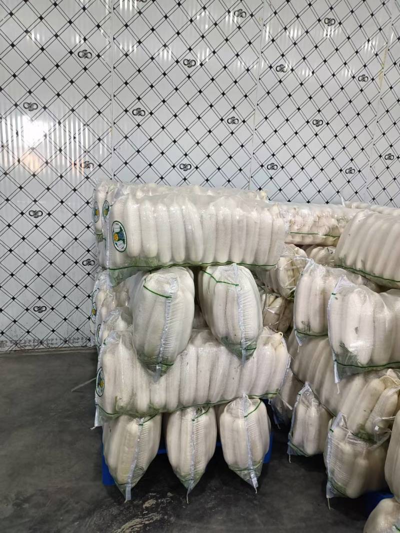 【热卖】精品萝卜规格齐全，质量好，价格合适，需要的联系