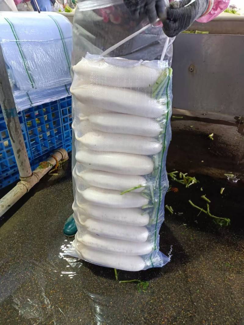 【热卖】精品萝卜规格齐全，质量好，价格合适，需要的联系