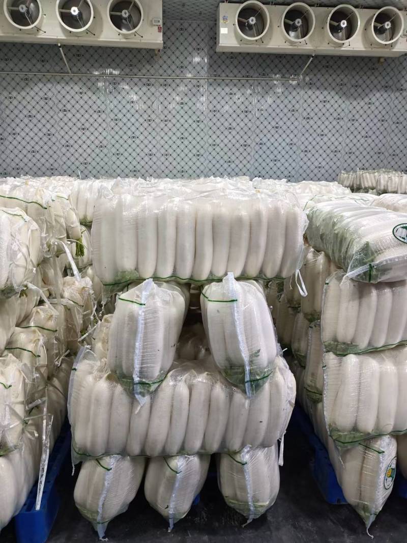 【热卖】精品萝卜规格齐全，质量好，价格合适，需要的联系