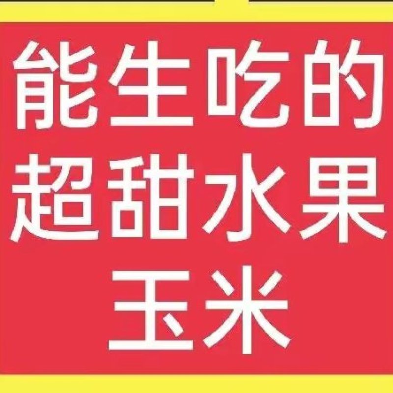 云南水果玉米，粒粒饱满，颗颗爆汁，鲜嫩多汁