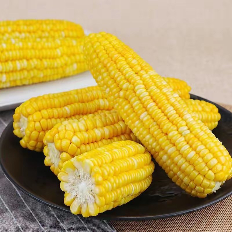 云南水果玉米，粒粒饱满，颗颗爆汁，鲜嫩多汁