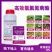 5%高效氯氟氰菊功夫菊酯强力杀虫剂菜青虫杀虫药土壤害虫农