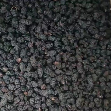 【优选】河北四川无沙桑椹干，水洗食用黑珍珠桑葚干泡酒泡茶煲汤