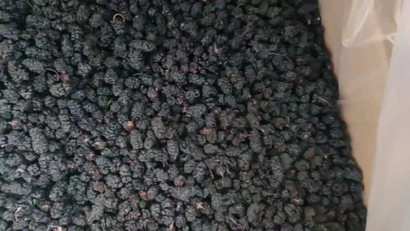 【优选】河北四川无沙桑椹干，水洗食用黑珍珠桑葚干泡酒泡茶煲汤