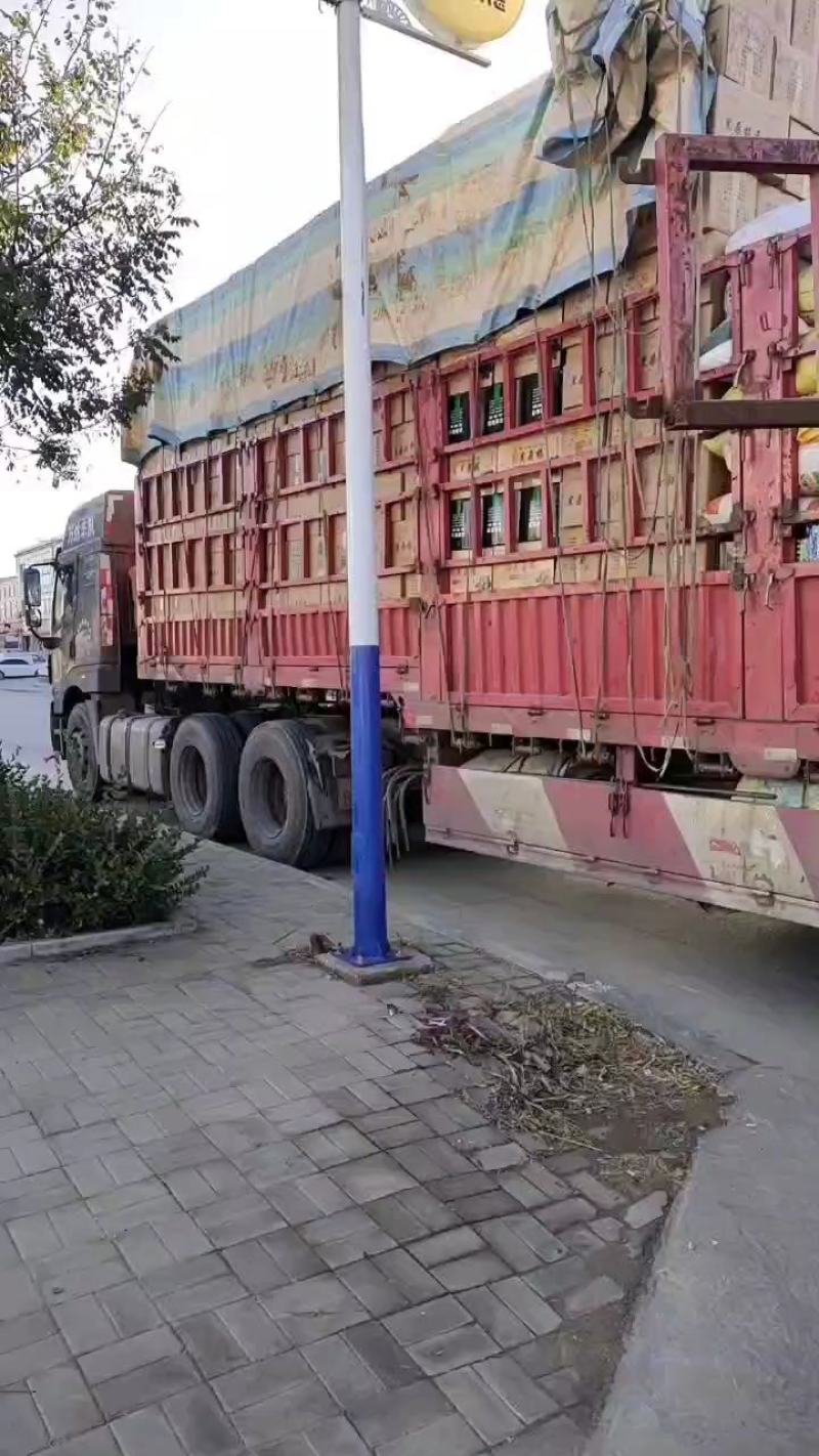 【优选】河北四川无沙桑椹干，水洗食用黑珍珠桑葚干泡酒泡茶煲汤