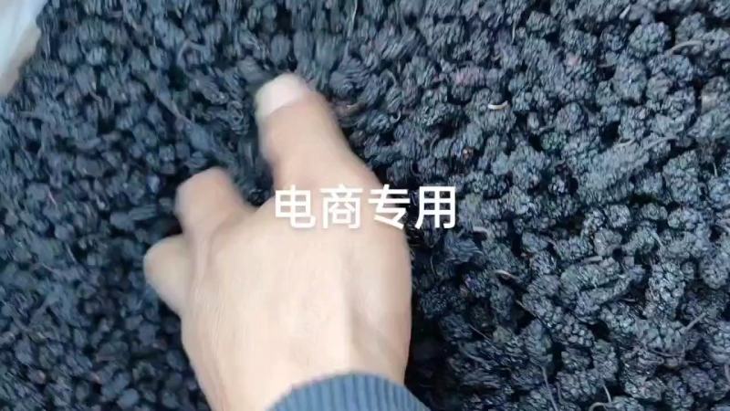 【优选】河北四川无沙桑椹干，水洗食用黑珍珠桑葚干泡酒泡茶煲汤