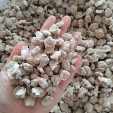 蚬肉蚬子肉河蚬产地直供天然产品