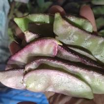 优质精品紫扁豆，保质保量，欢迎广大客商进店咨询采购！