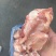 猪棒骨，带肉带骨髓，全国发货