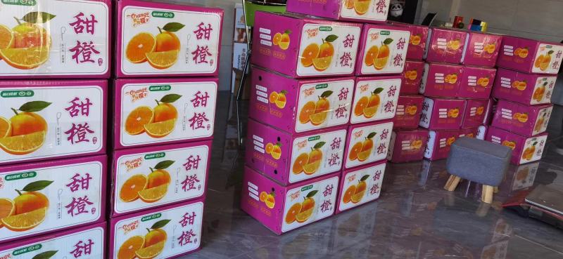 湖北宜昌秭归九月红橙子现在大量有货了，汁多皮薄口感好