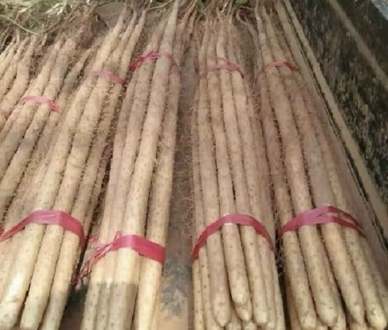 线上购买山药的电商平台界面截图