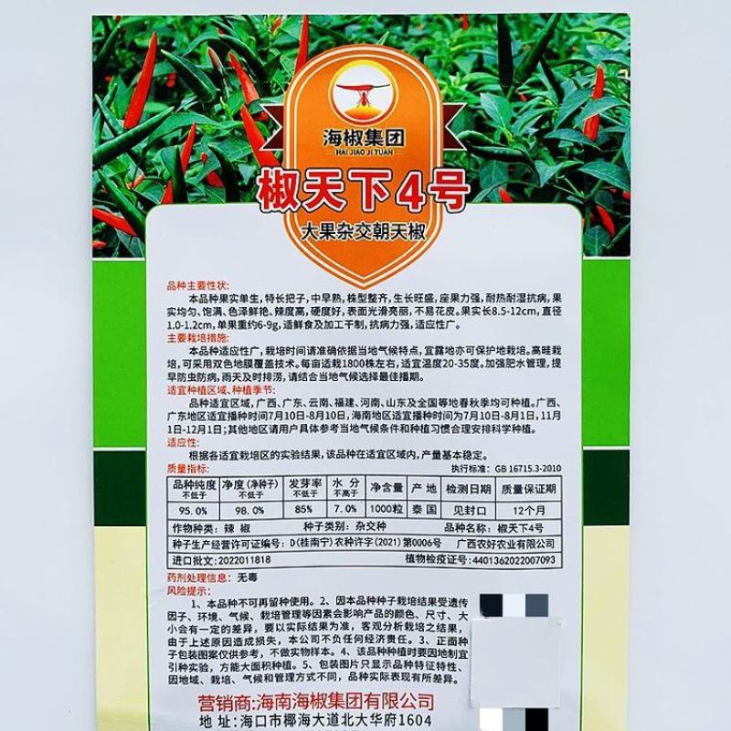 海南椒天下4号朝天椒种子高产抗病大果型椒天下3号辣椒孑四