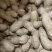 河北机油四花生大量供应产地直发量大从优可视频看货