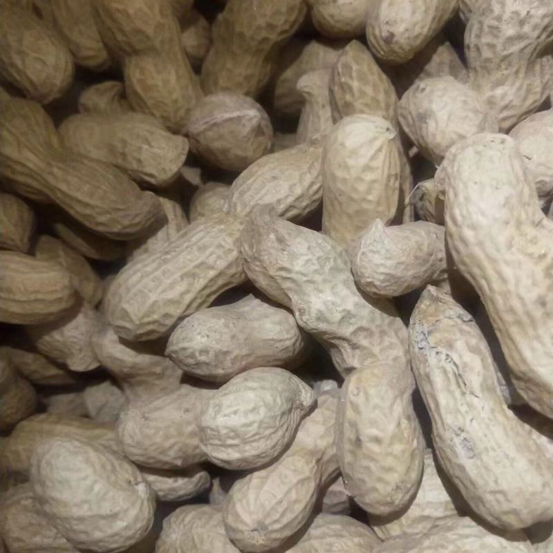 河北机油四花生大量供应产地直发量大从优可视频看货