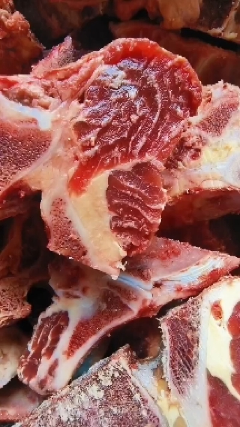 牛脊骨