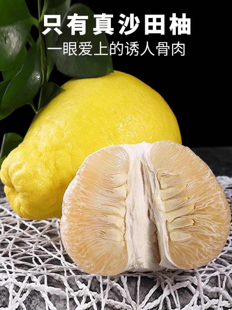 广西沙田柚新鲜上市货源充足稳定对接全国电商市场