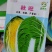 春秋黄心菜种子