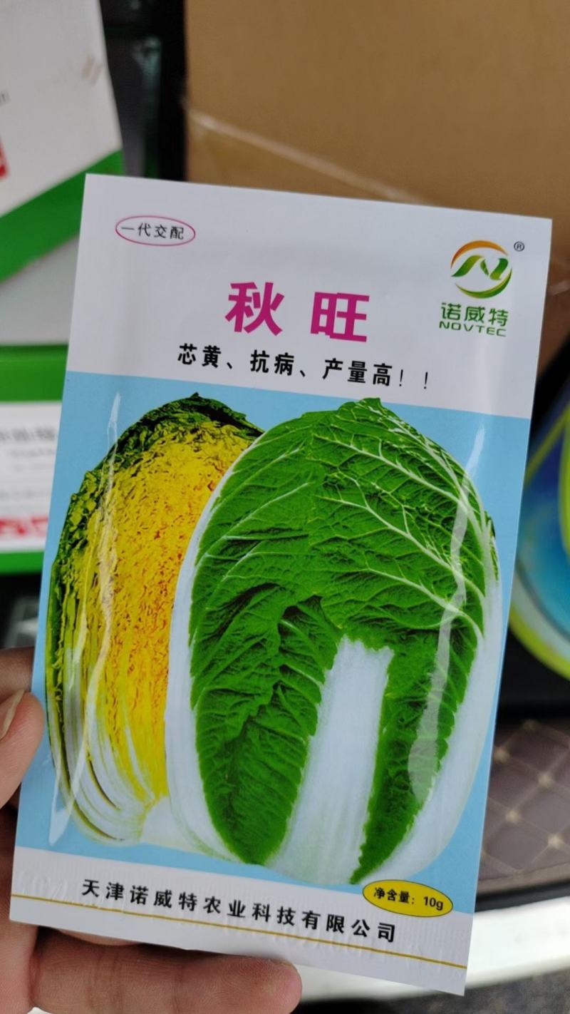 春秋黄心菜种子