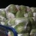 青杂三号白菜7斤以上净菜