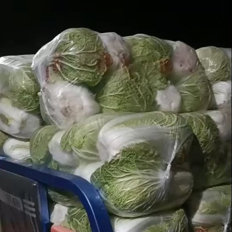 青杂三号白菜7斤以上净菜