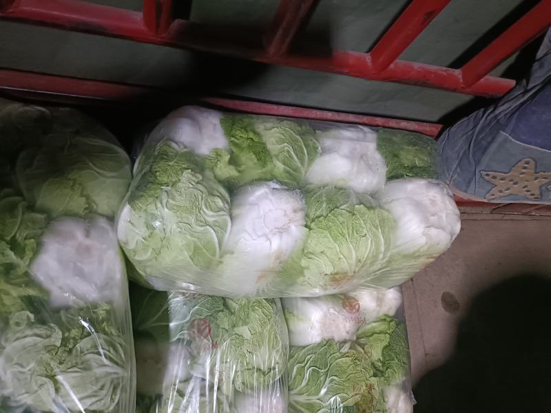 青杂三号白菜7斤以上净菜